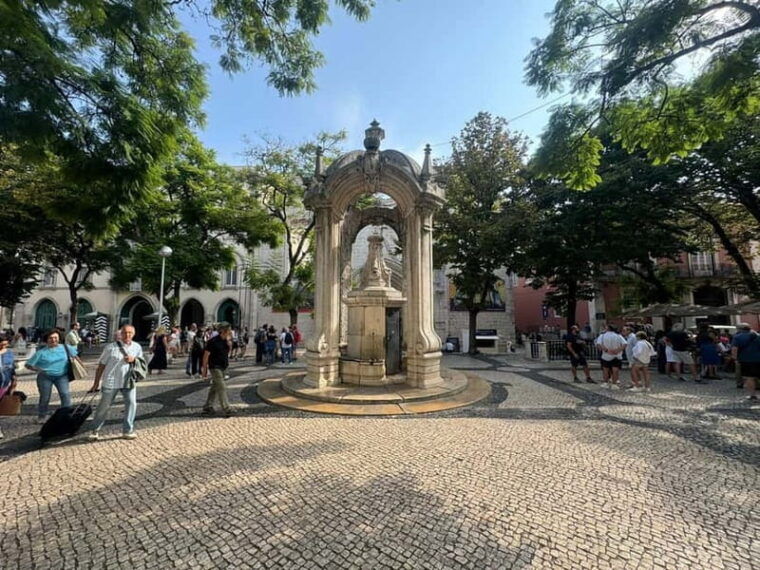 Eco Tuk Tours Lisbon - Practical Details: What You Need to Know