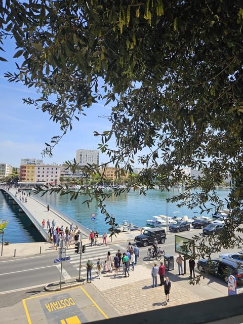 Eco Tuk Tuk Highlights of Zadar - Good To Know