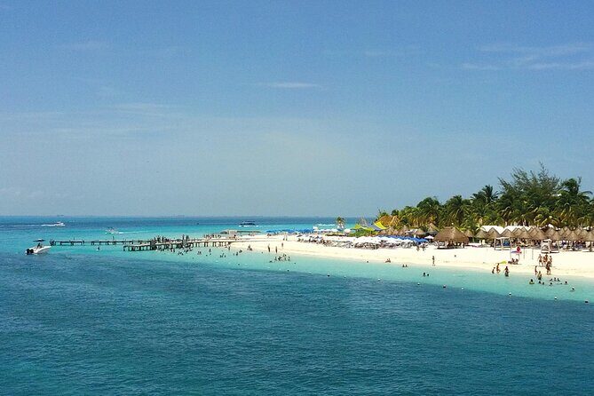 Eco Whale Shark Encounter - What Past Travelers Say