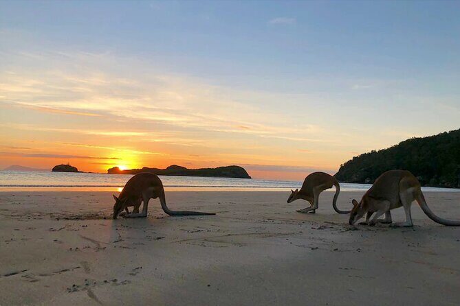 Eco Wildlife Two-Day Tour  Platypus & Kangaroos - Pricing and Value