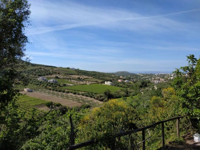 Ecobike: Food Tasting - Discover Cretan Cuisine & Villages - Historic Landmarks Discovery