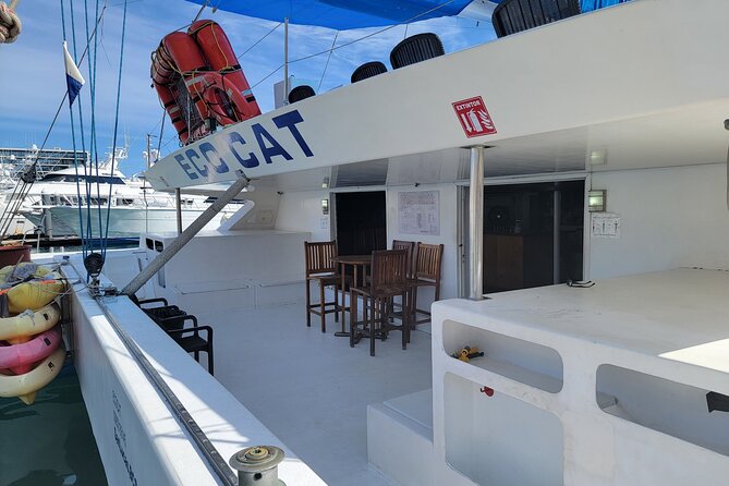 EcoCat Snorkel Catamaran Cruise in Cabo - Weather Requirements