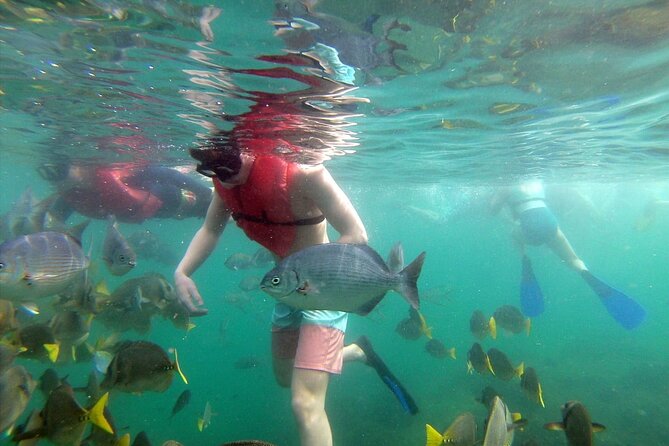 EcoCat Snorkel Catamaran Cruise in Cabo - Traveler Photos and Testimonials