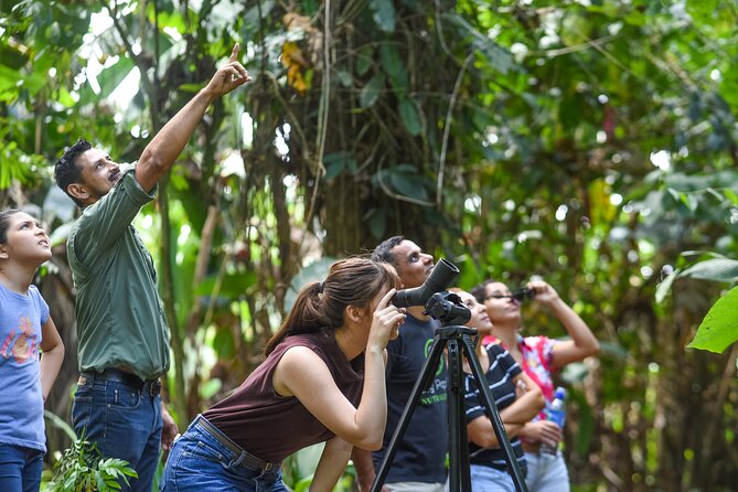 Ecogarden Arenal Sloth Tour - Tour Highlights