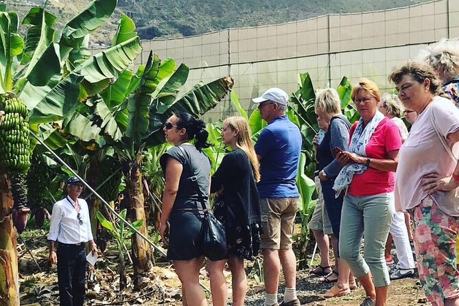 Ecological Banana Plantation Tour - Inclusions