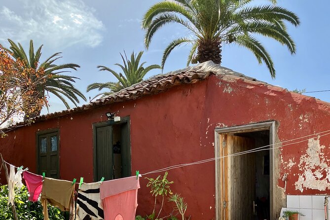 Ecological Banana Plantation Tour - Tasting of Banana Liquor