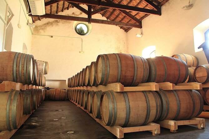 Ecological Tour of the Winery in Ronda With Tasting - Common Questions