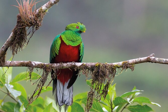 Economic Manu Jungle Tour (4 Days) - Accommodation and Meals