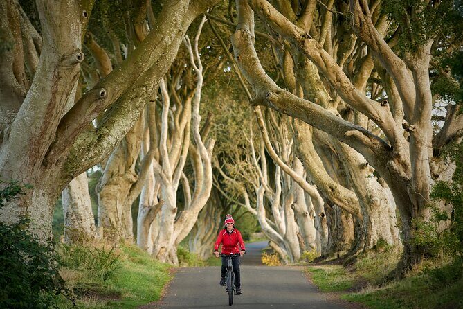 Economy Transfer from Dublin Airport to Belfast - Who Should Book This Transfer?