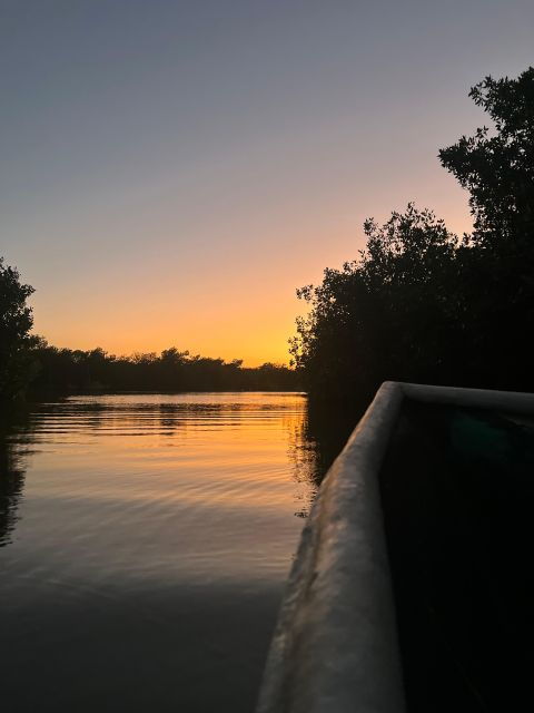 Ecotour and Fishing in Cartagena's Natural Mangrove - Good To Know