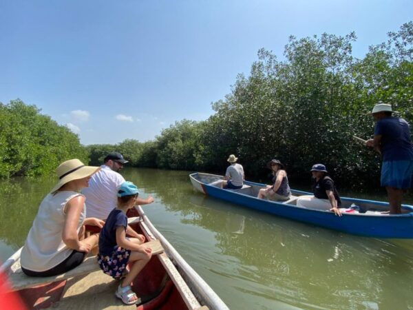 Ecotour and Fishing in Cartagena's Natural Mangrove - Directions