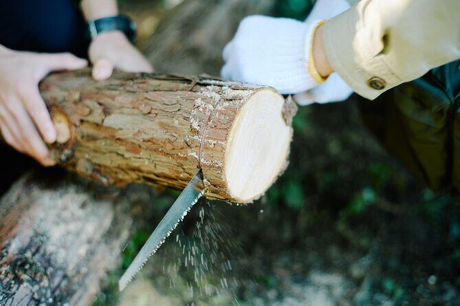 Ecotourism and Woodcraft with a Mountain Artist Near Tokyo - Exploring the Tour in Detail