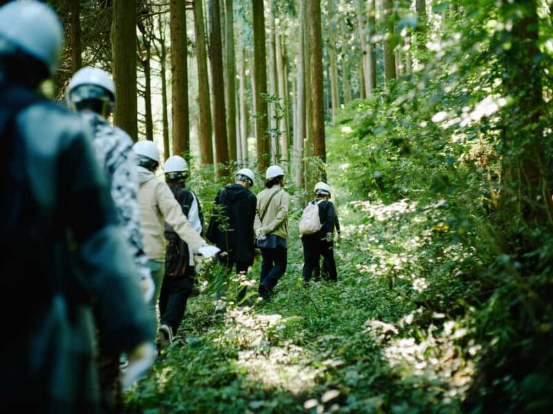 Ecotourism and Woodcraft with a Mountain Artist Near Tokyo - Practical Details and Considerations