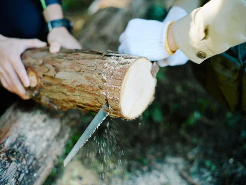 Ecotourism and Woodcraft with a Mountain Artist Near Tokyo - Final Thoughts