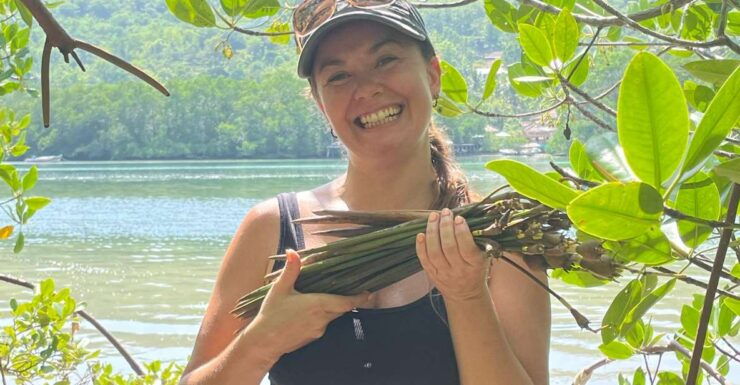 Ecotourism: Mangrove Reforestation & Tour - Activity Details