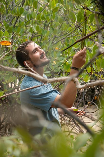 Ecotourism: Mangrove Reforestation & Tour - Group Size