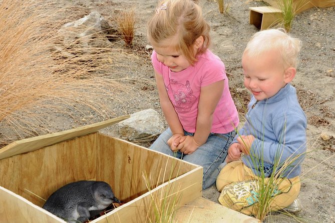Ecoworld New Zealand Tour From Marlborough Sounds - Overview and Activities