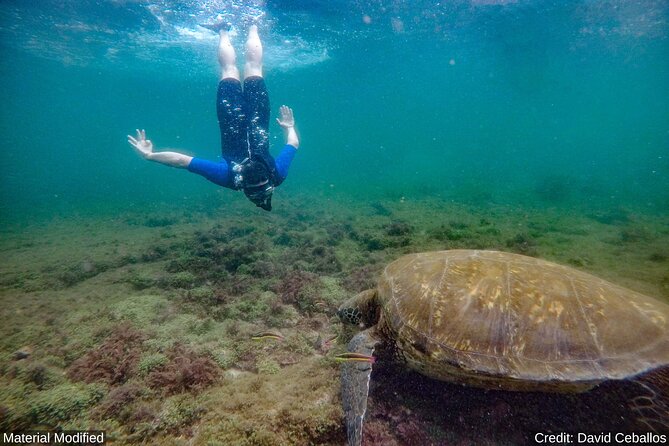 Ecuador & Galapagos: See It ALL in 12 Days, 1st Class Tours - Day 3: Journey to Quilotoa