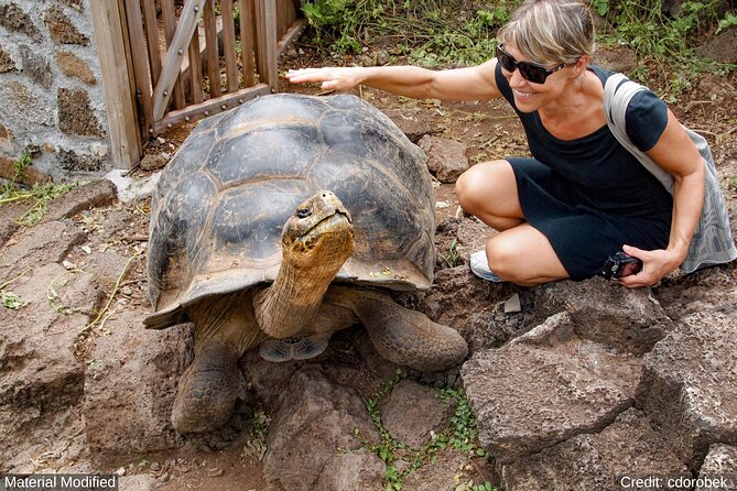 Ecuador & Galapagos: See It ALL in 12 Days, 1st Class Tours - Day 5-9: Galapagos Islands Adventure