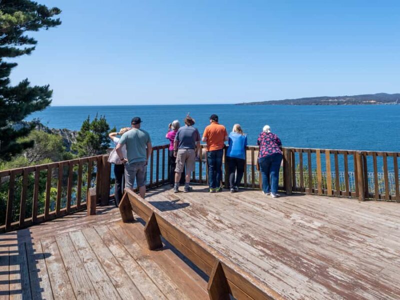 Eden: 2-Hour Highlights Tour, Nature, Beaches and Lookouts - Good To Know