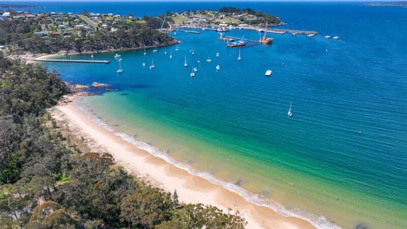 Eden: 2-Hour Highlights Tour, Nature, Beaches and Lookouts - A Practical Guide to the Eden Highlights Tour