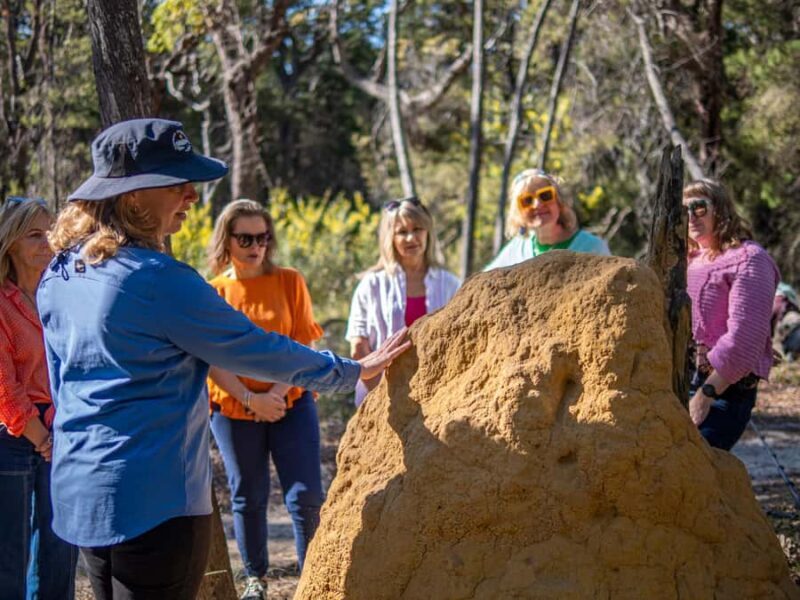 Eden: 2-Hour Highlights Tour, Nature, Beaches and Lookouts - Value and Overall Impression