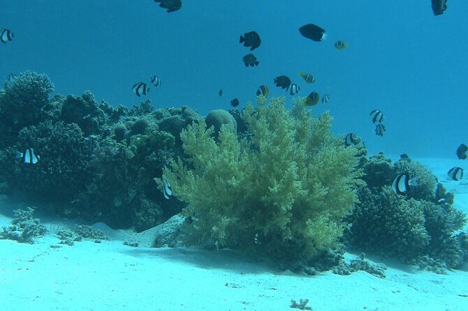 Eden Island a Luxury Snorkeling Sea Trip. - Good To Know