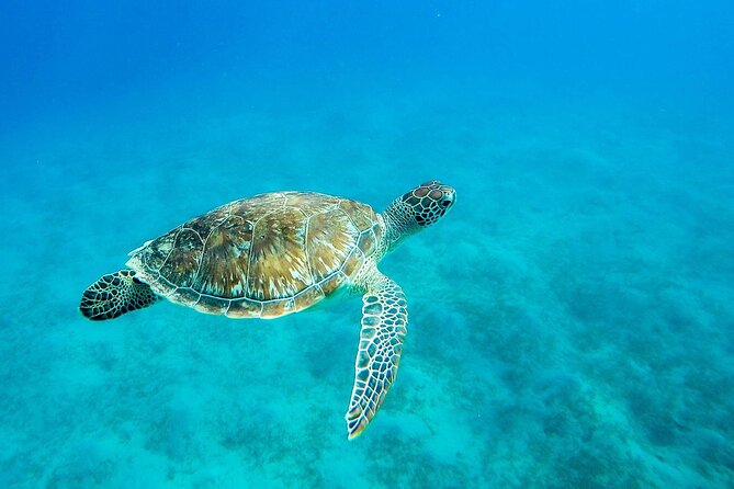 Eden Island a Luxury Snorkeling Sea Trip. - Cancellation Policy