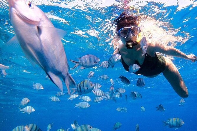 Eden Island Serena VIP Boat Snorkeling Trip-Hurghada - Booking Information