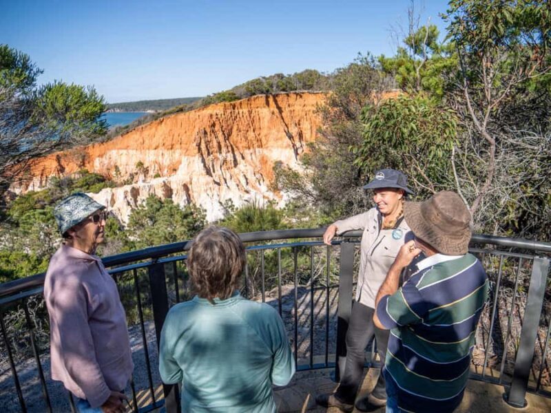 Eden: Panboola Wetlands and Potoroo Palace Tour with Lunch - Good To Know