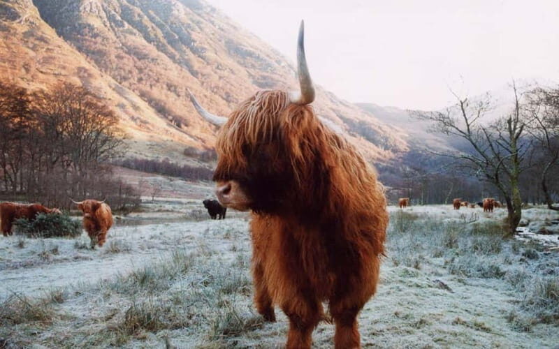 Edinburgh: 18-39s 3-Day Tour of Scottish Highlands & Skye - The Itinerary in Detail: What You Can Expect