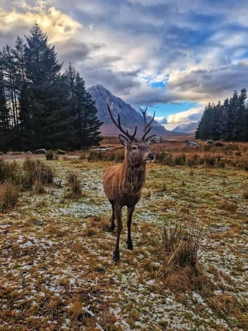 Edinburgh: 3-Day Isle of Skye & Highlands Guided Tour - Good To Know