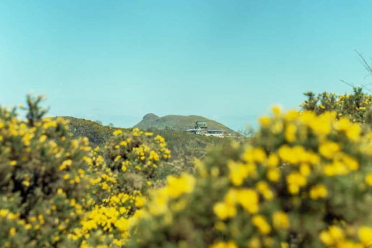 Edinburgh: Arthur's Seat Hike with Mountain Guide - Final Thoughts
