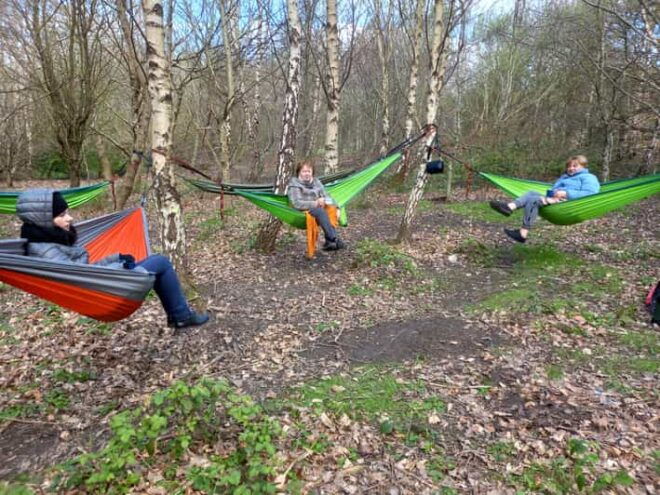 Edinburgh: Guided Forest Bathing, Meditation, and Breathwork - Experience Highlights