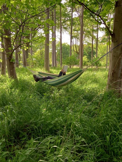 Edinburgh: Guided Forest Bathing, Meditation, and Breathwork - Preparation and Tips