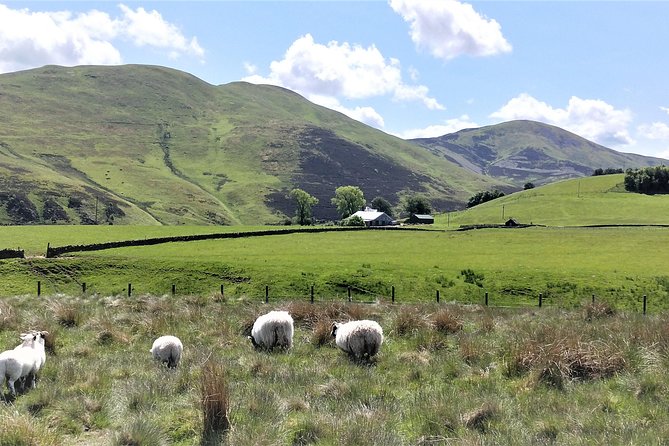 Edinburgh: Guided Walk in the Pentland Hills - End Point and Return to City Center