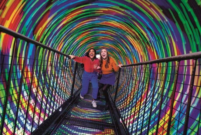 Edinburgh: Harry Potter Tour & Amazing Illusions Experience - Important Information