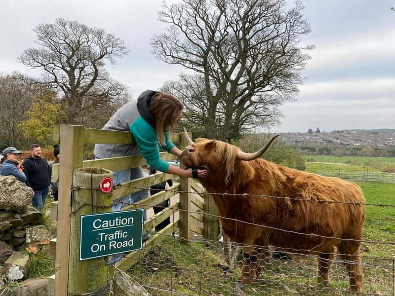 Edinburgh: Highland Cow, Blackness Castle, and Cake Tour - Good To Know