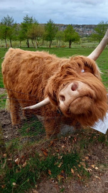 Edinburgh: Hill & Nature Hike With a Local - Authentic Encounters & Review Highlights