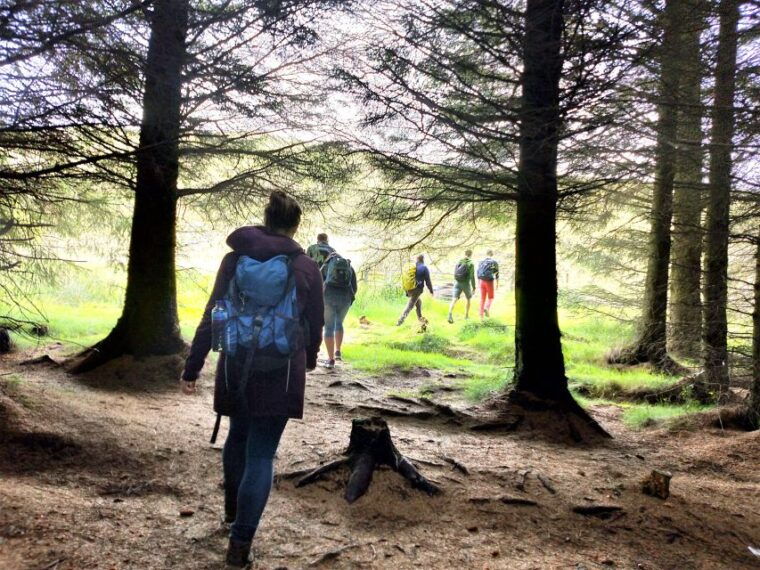 Edinburgh: Hill & Nature Hike With a Local - The Sum Up