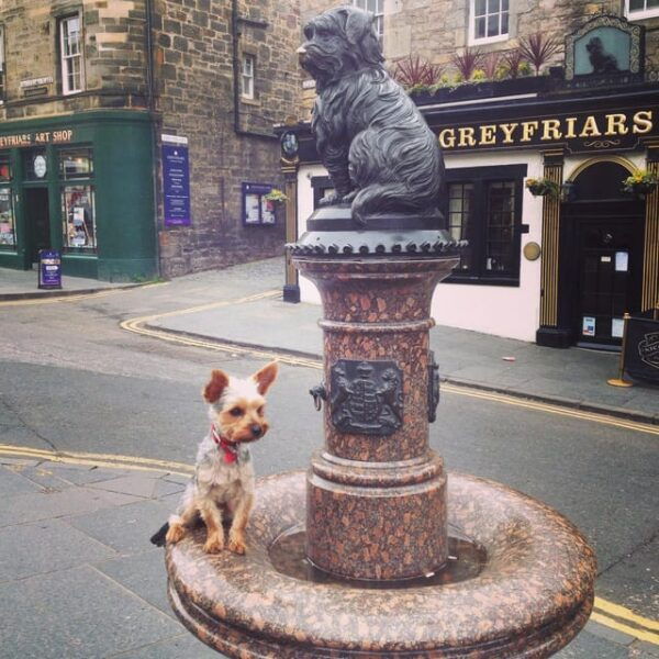 Edinburgh: History Lovers Old Town Walking Tour - Important Considerations