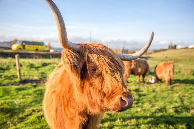 Edinburgh: Isle of Skye, Inverness, and Highlands 3-Day Tour - Final Words