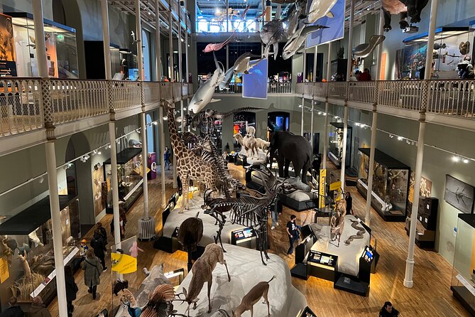 Edinburgh National Museum of Scotland Highlights Guided Tour - Meeting and Pickup