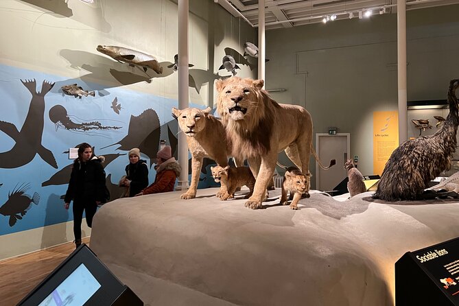 Edinburgh National Museum of Scotland Highlights Guided Tour - The Sum Up