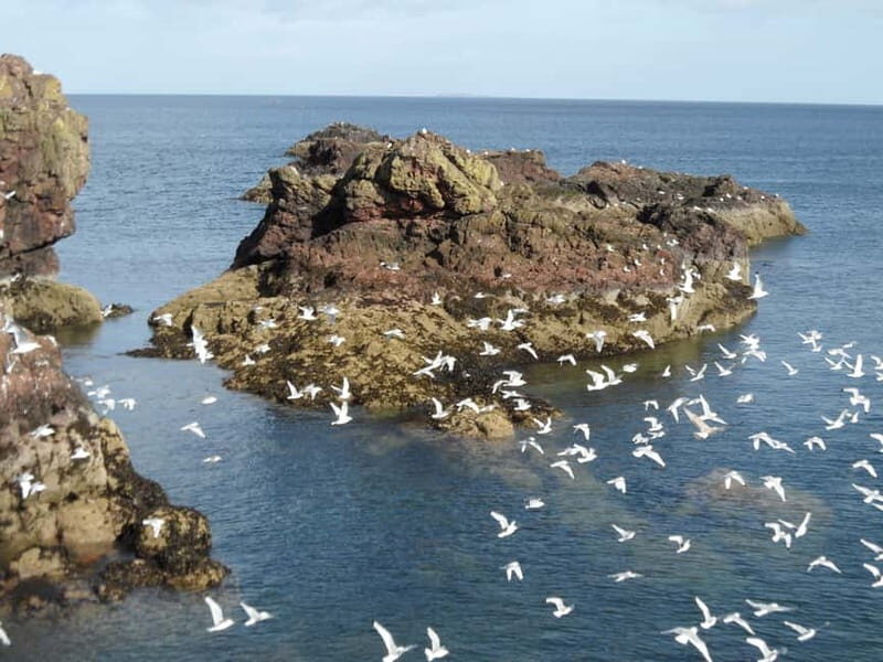 Edinburgh: Private Guided Walking Tour - Final Thoughts