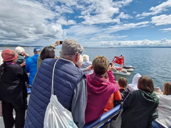 Edinburgh: Sightseeing Bus Tour & Inchcolm Island Boat Tour - Customer Feedback