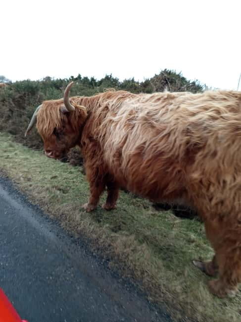 Edinburgh: Stirling, Highlands, Loch Ness, Mull 5-Day Tour - Good To Know