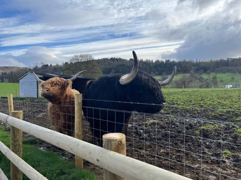 Edinburgh: The Kelpies, Loch Lomond & Trossachs Day Trip - Good To Know  