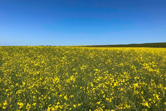 Edinburghs Landscapes Tours With a Local Guide: Private & Personalized - Common Questions