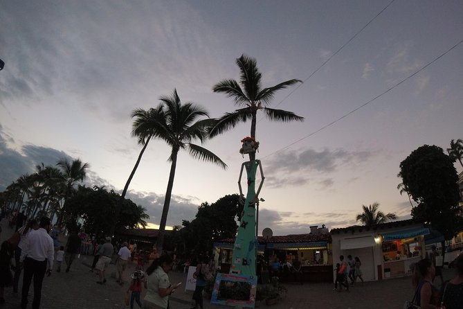 Educational and Fun Private City Tour- Puerto Vallarta - Overview and Highlights